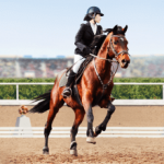 classic_product-page-image_330x220